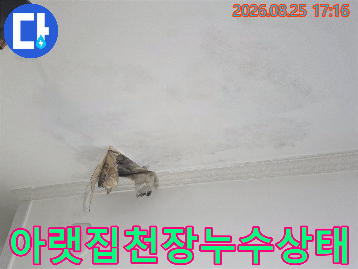 광명 하안동 현장의 젖은 천장 벽지와 얼룩진 마감재 부위