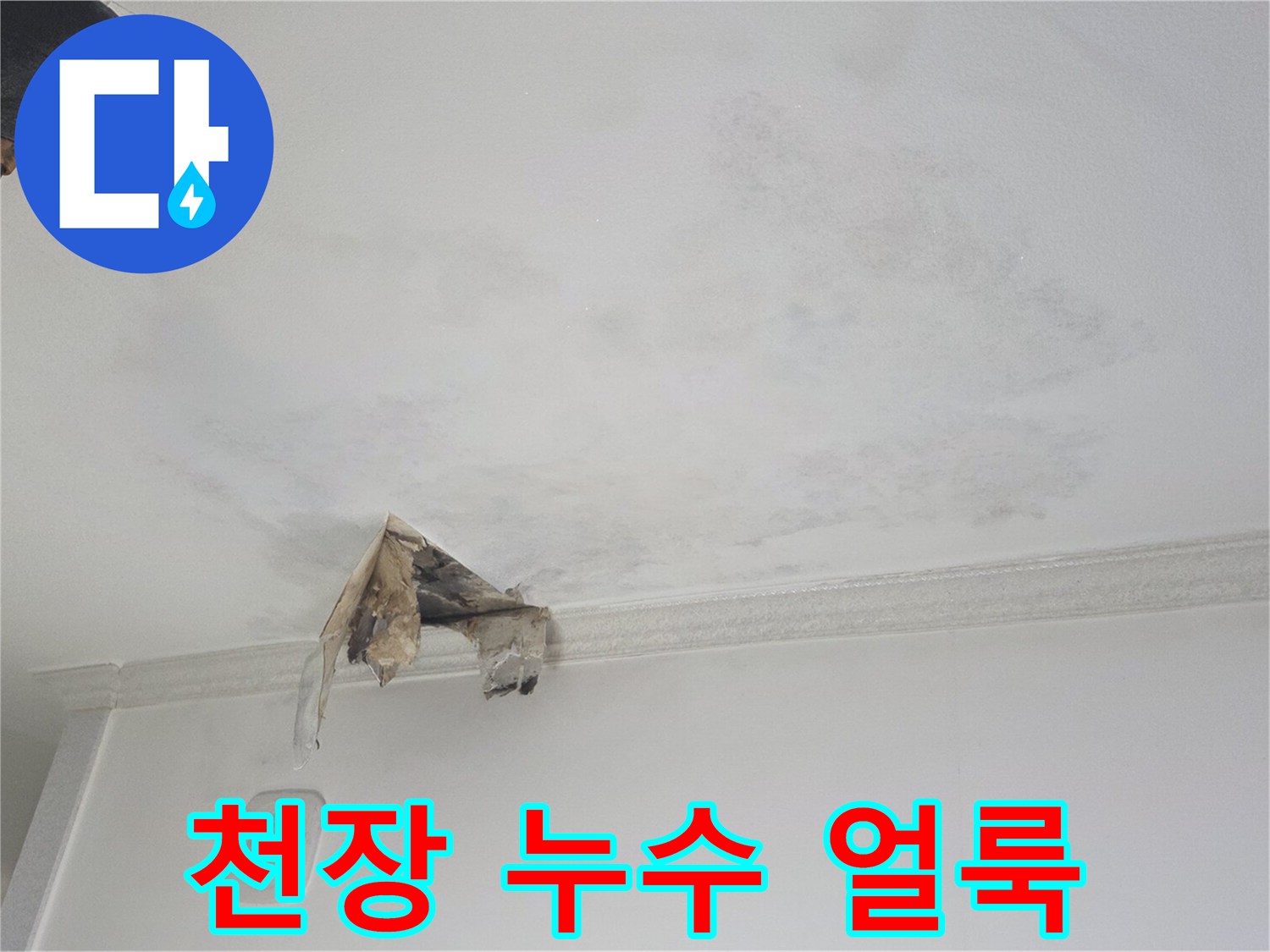 물이 새서 변색된 천장의 모습