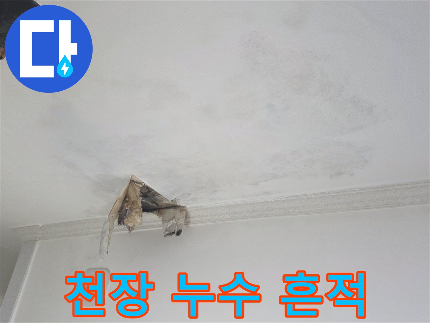 아파트-천장-부분적인-젖음과-얼룩-상태