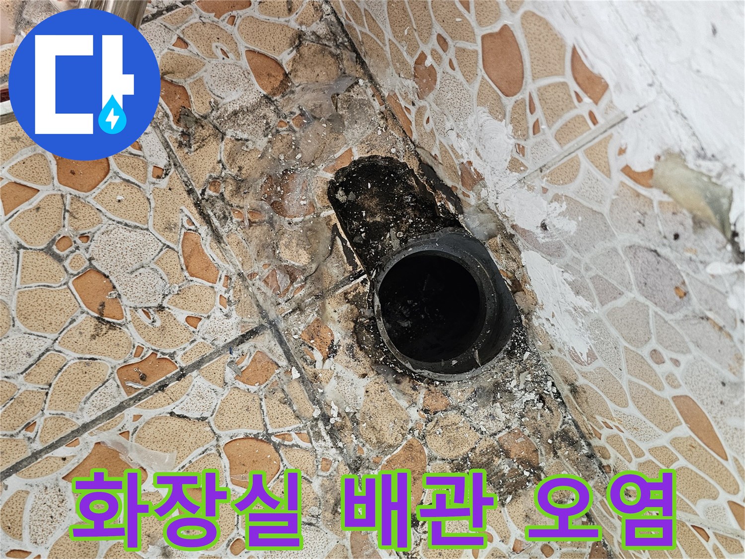 검은 곰팡이가 발생한 화장실 바닥 배관 주변부