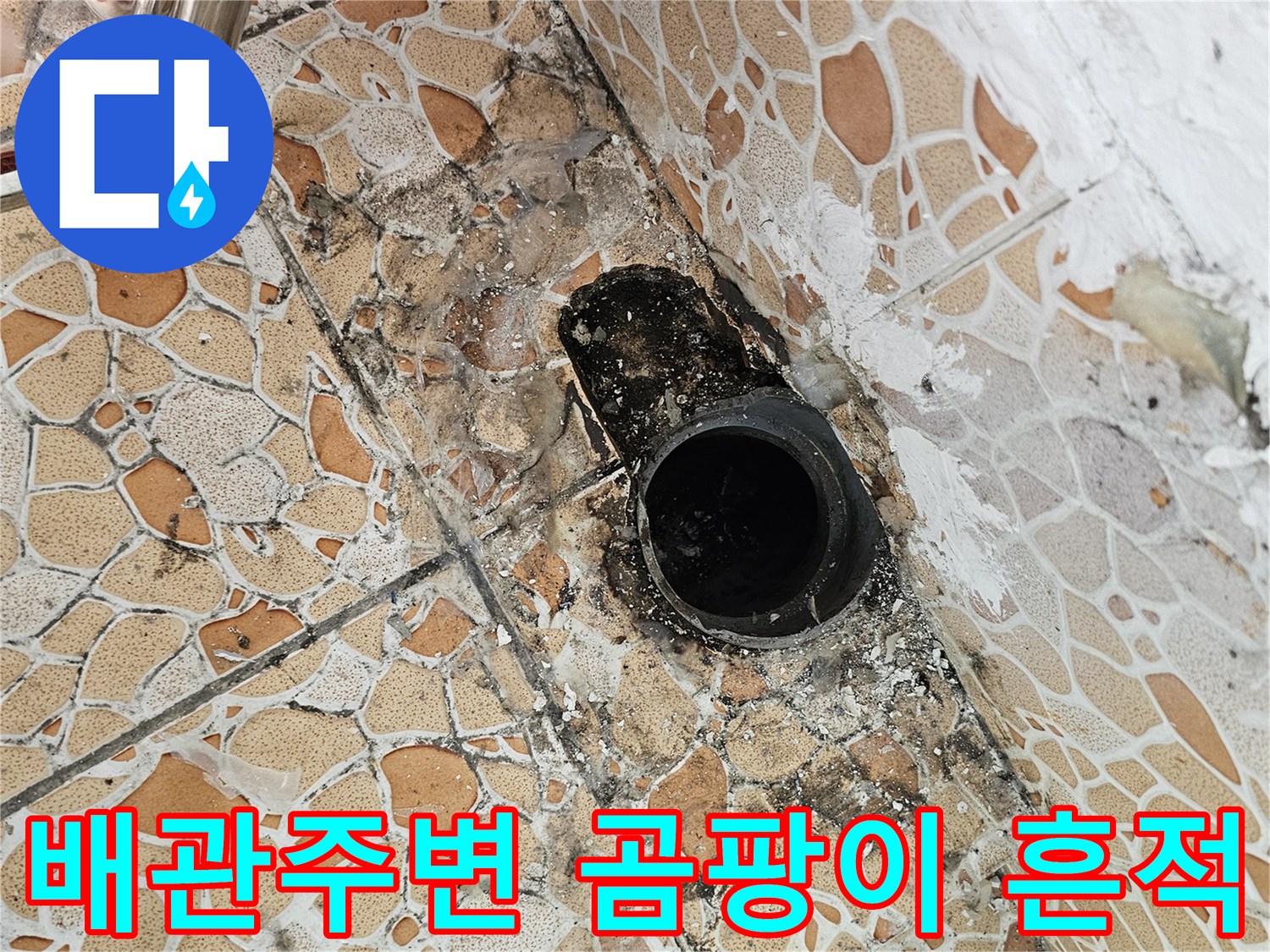 화장실-배관-연결부위-주변의-심한-곰팡이와-오염된-타일