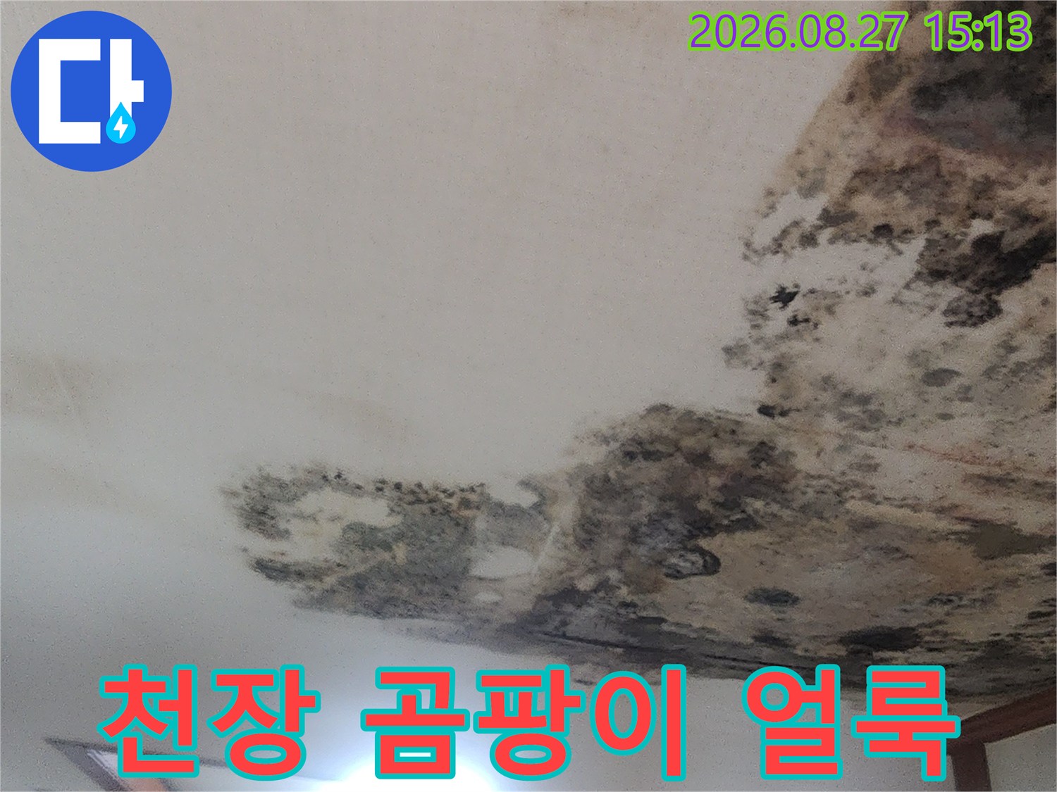 성북구 아파트 거실 천장에 발생한 심각한 곰팡이와 누수 흔적