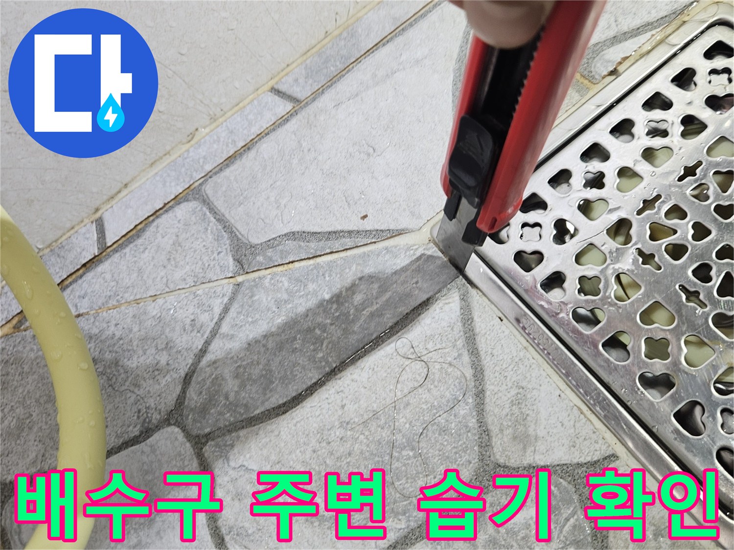 욕실 배수구 유가 타일 틈새 점검 사진