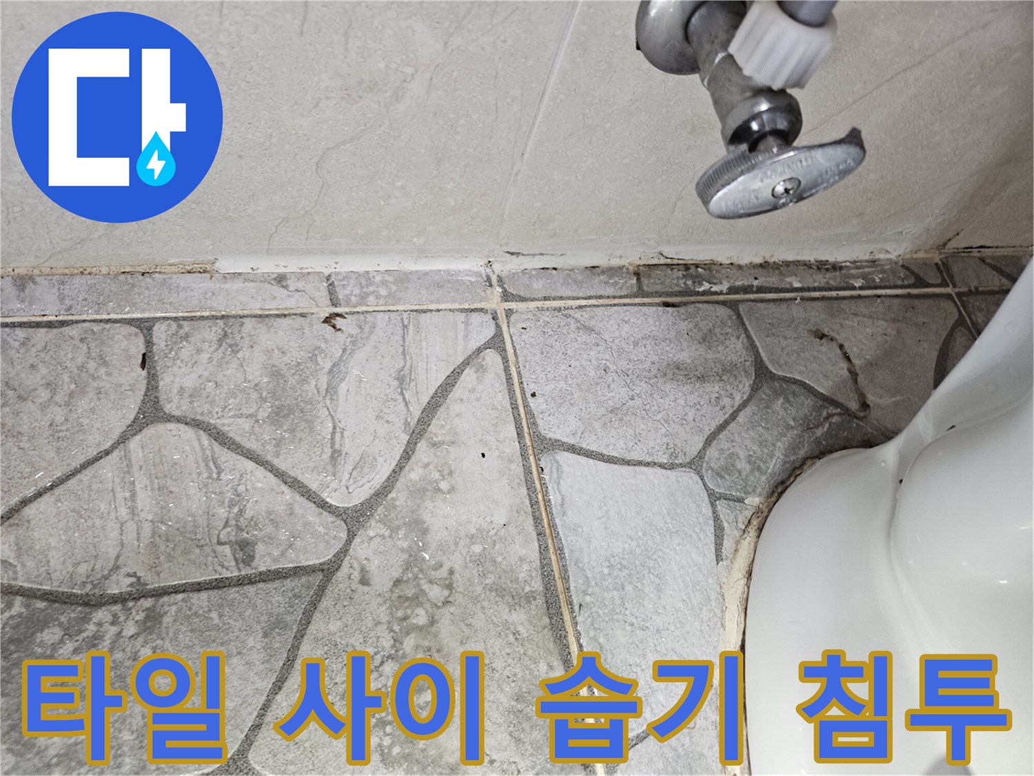 화장실 타일 줄눈의 변색된 오염 부위 상세 사진