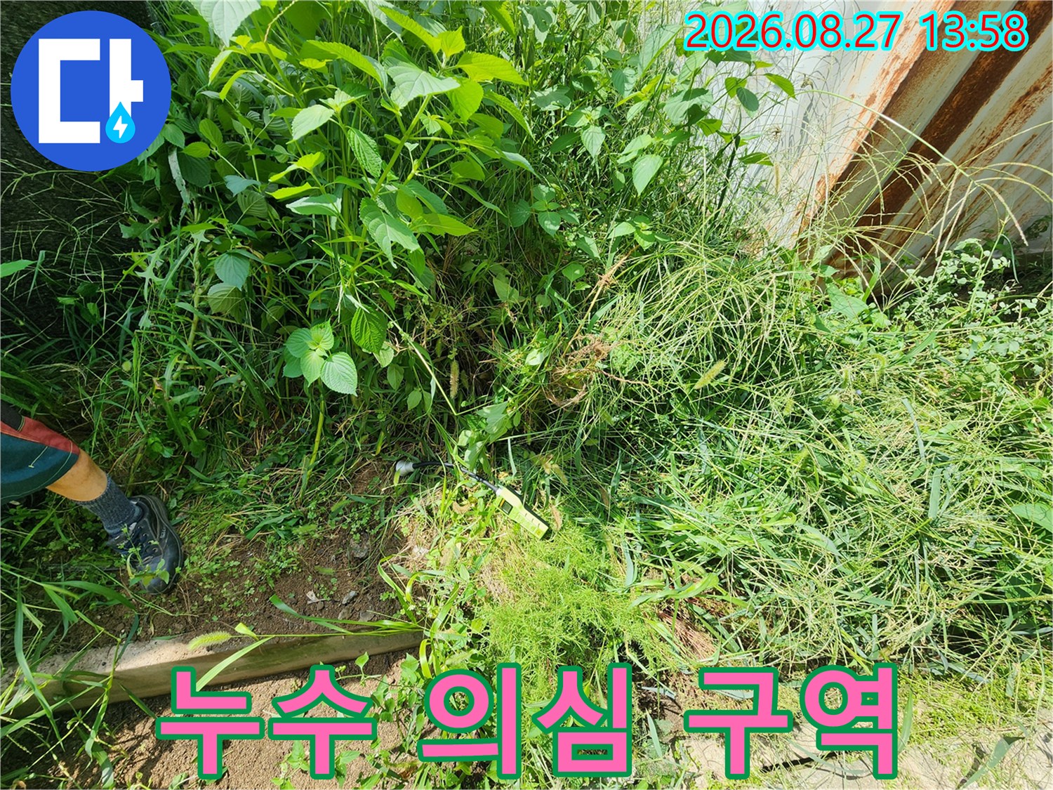 양주 남면-풀숲 아래 배관 누수가 발견된 지점