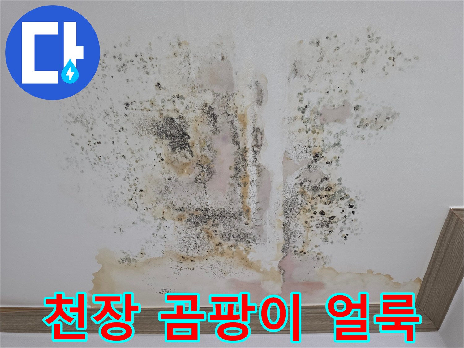 물샘으로 인한 천장-곰팡이와 변색된 부위