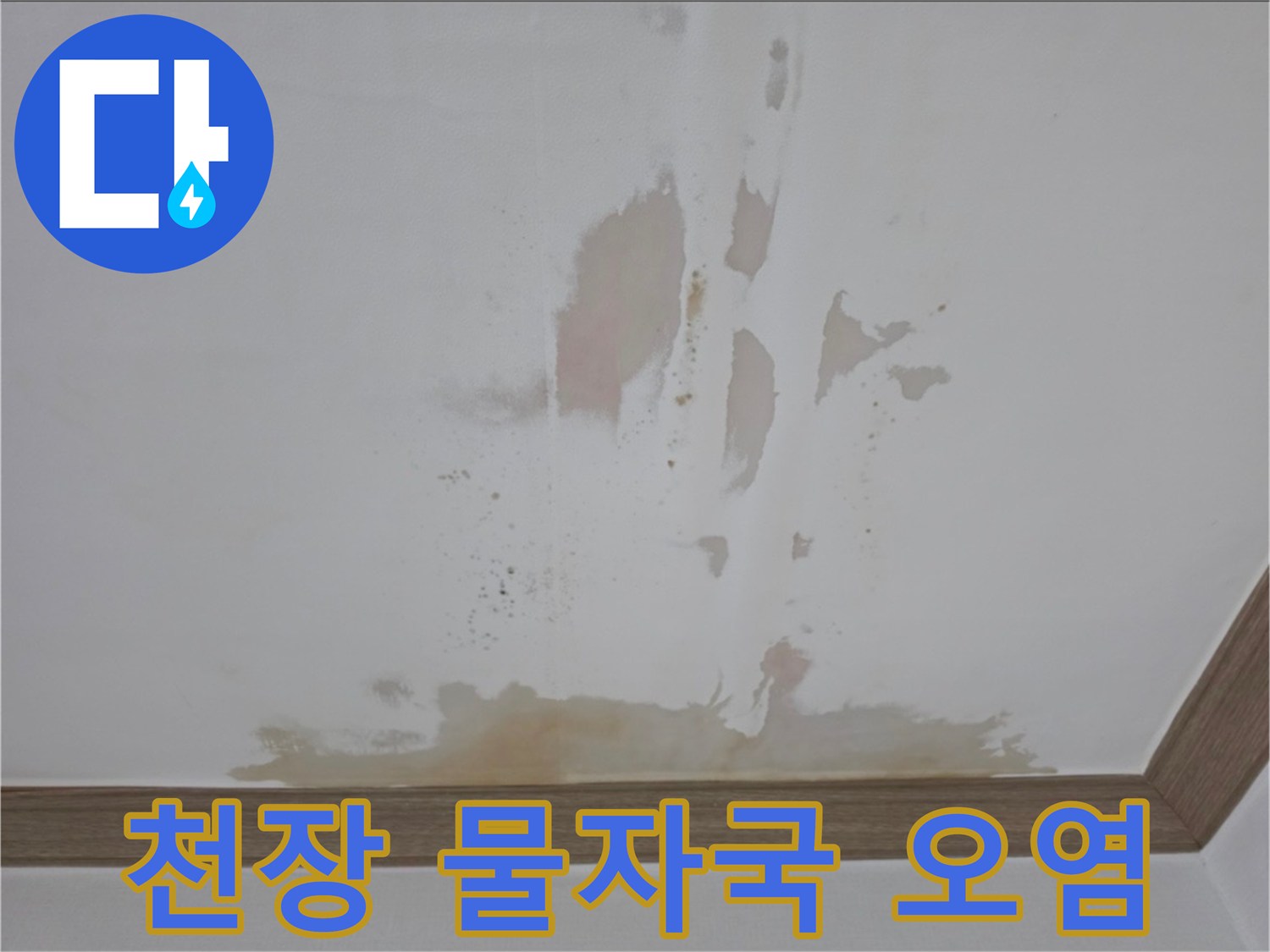 불규칙한-모양의-천장-물샘-흔적