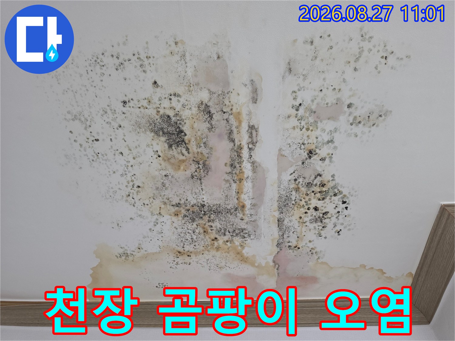심하게 부식되고 오염된 아파트 천장의 모습