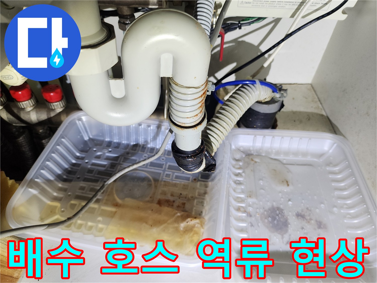 배수-호스-연결부-주변-물고임-현황
