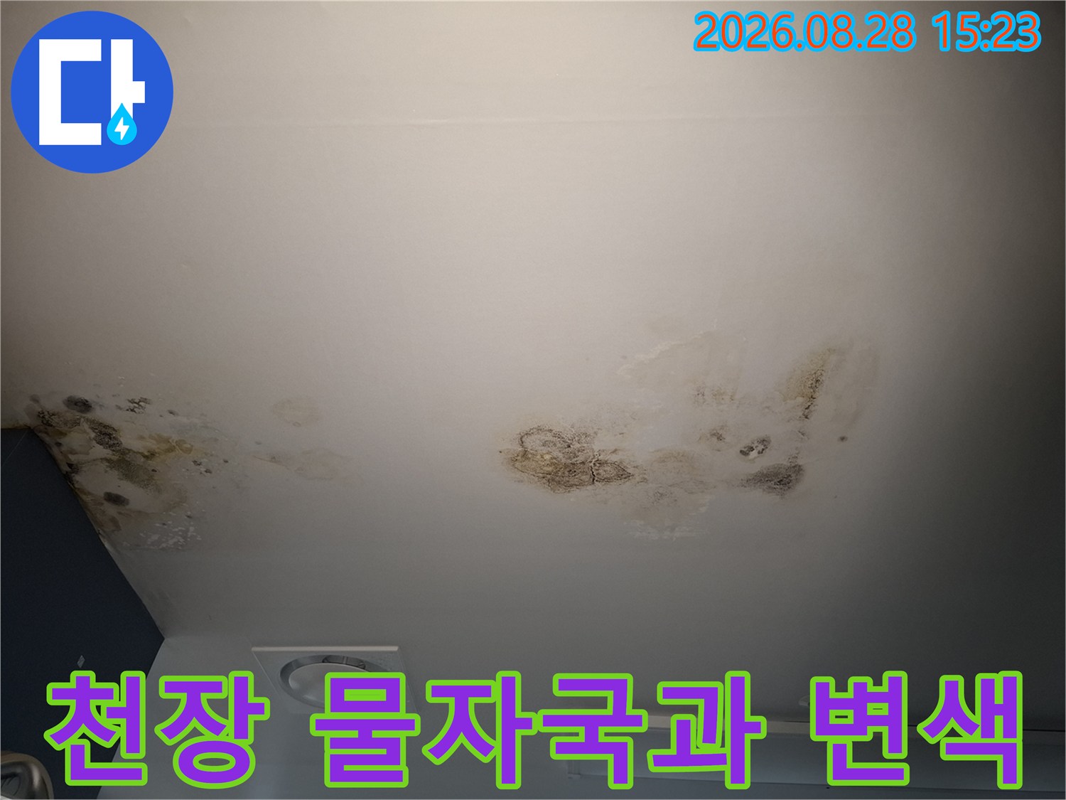 상층부 누수로 인해 발생한 천장 마감재의 얼룩과 곰팡이
