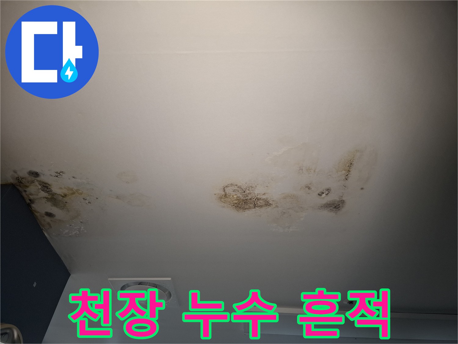 천장 텍스 상단부-곰팡이와 물 얼룩이 발생한 모습