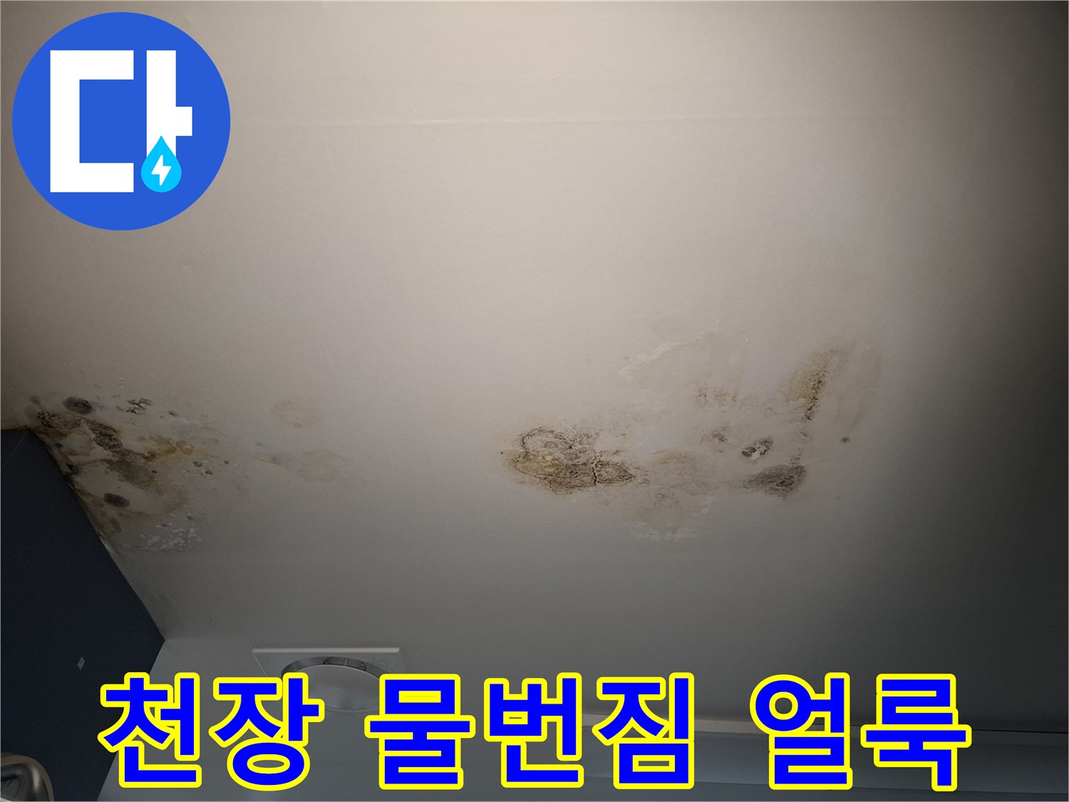 천장재에 나타난 누수 침투 및 변색 현상