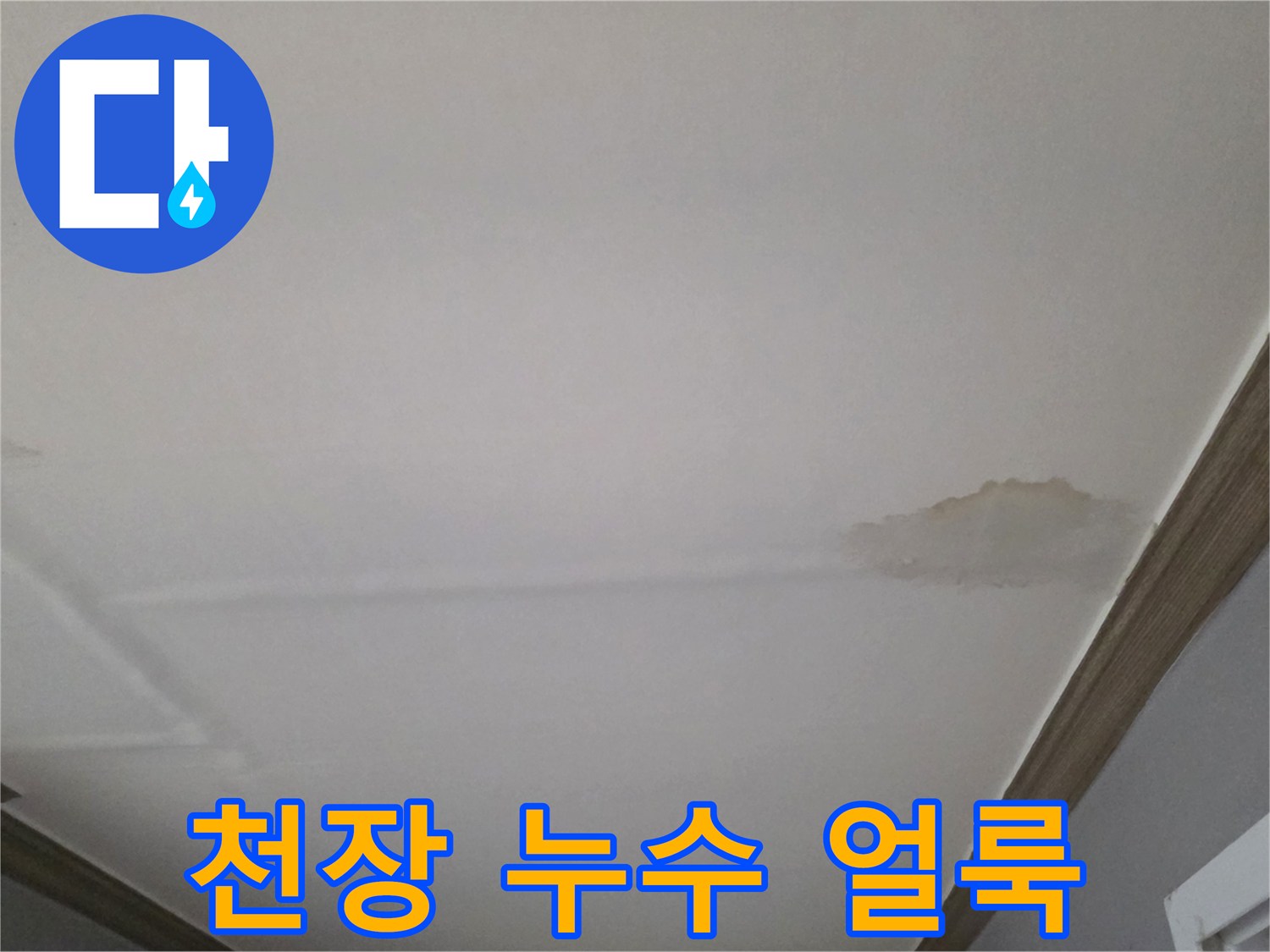 동두천 빌라 거실 천장에 발생한 물샘 흔적과 얼룩 상태