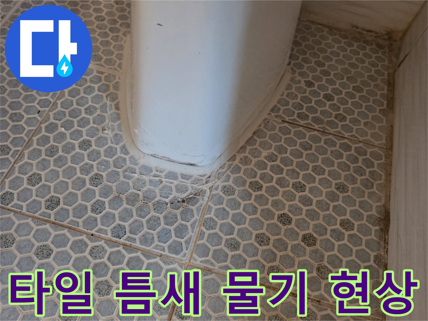 축축하게 젖은-화장실 육각 타일 줄눈 부위