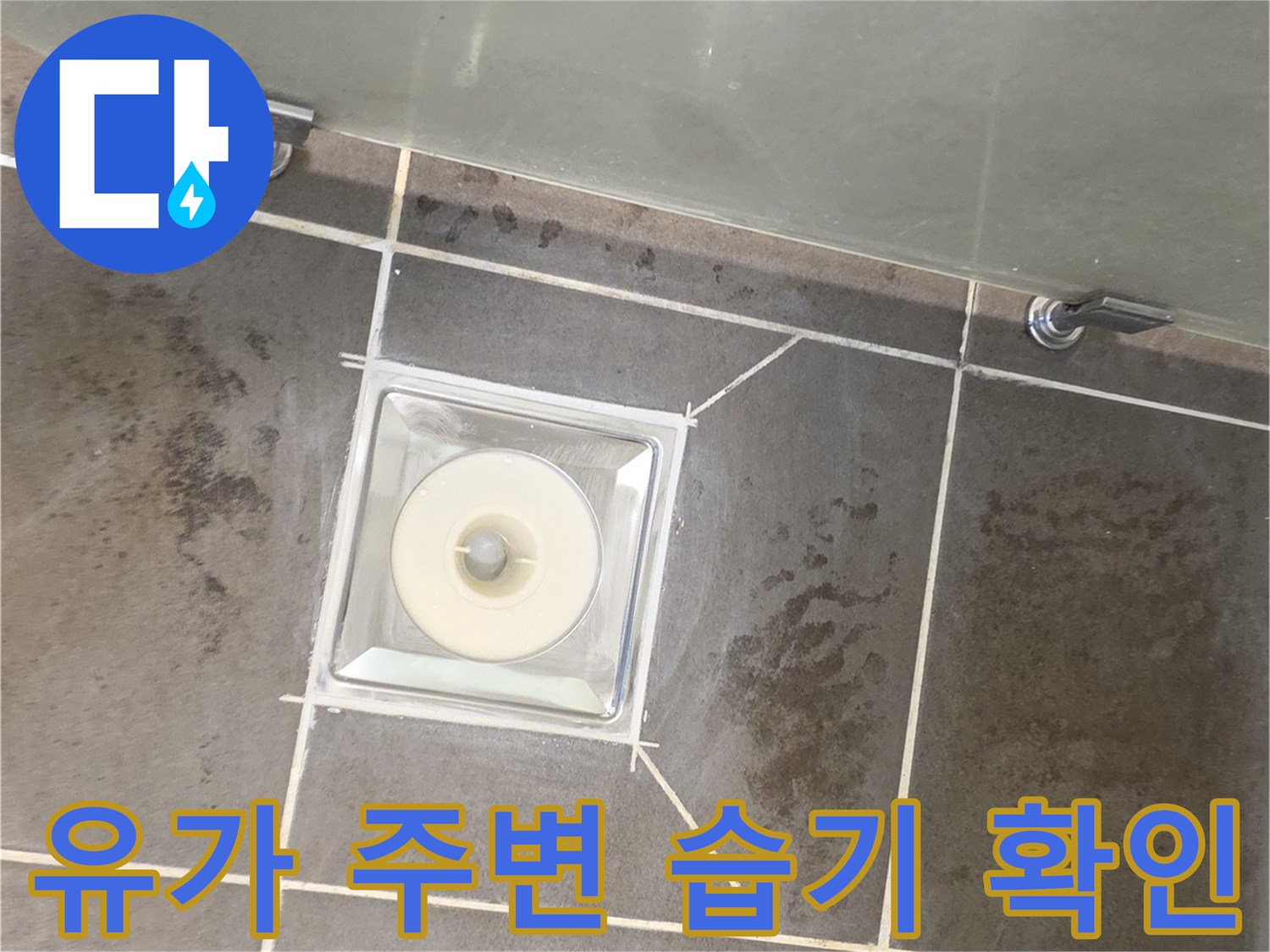화장실 배수구 유가 인근 타일 사이의 물기 상태