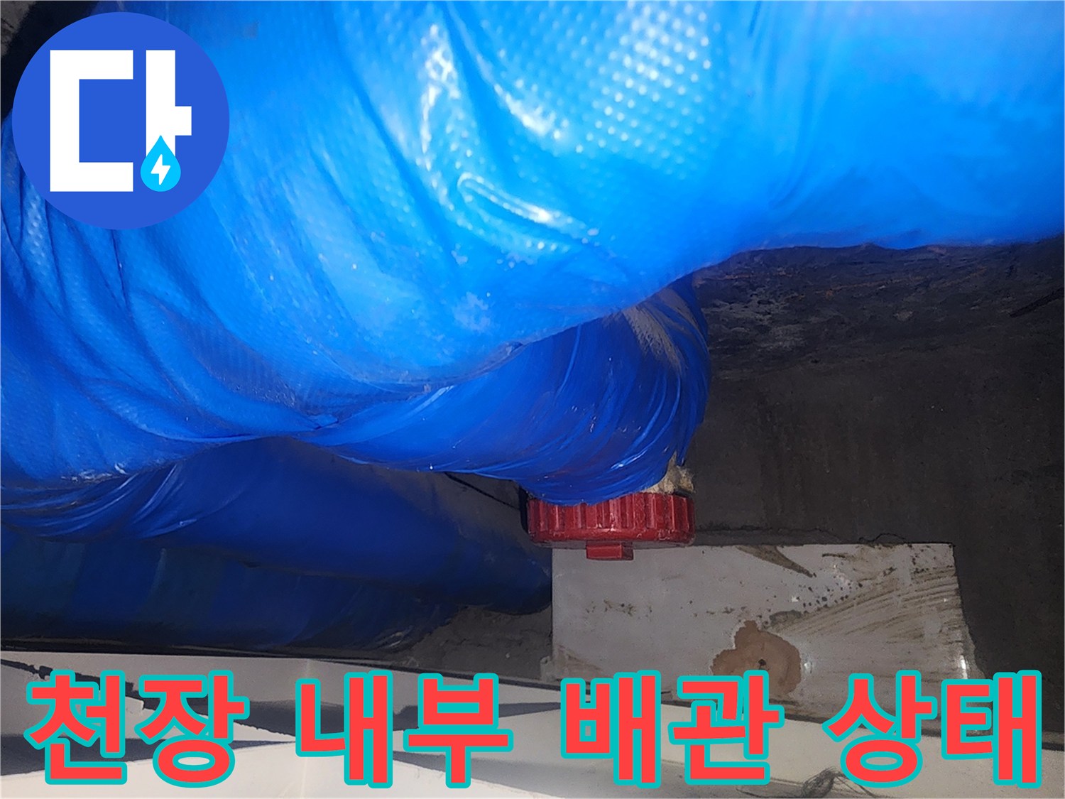 파란색-호스와-빨간색-부품이-만나는-배관-지점