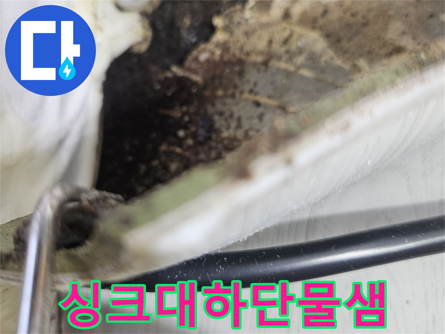 싱크대 하부 벽면의-곰팡이 오염 상태