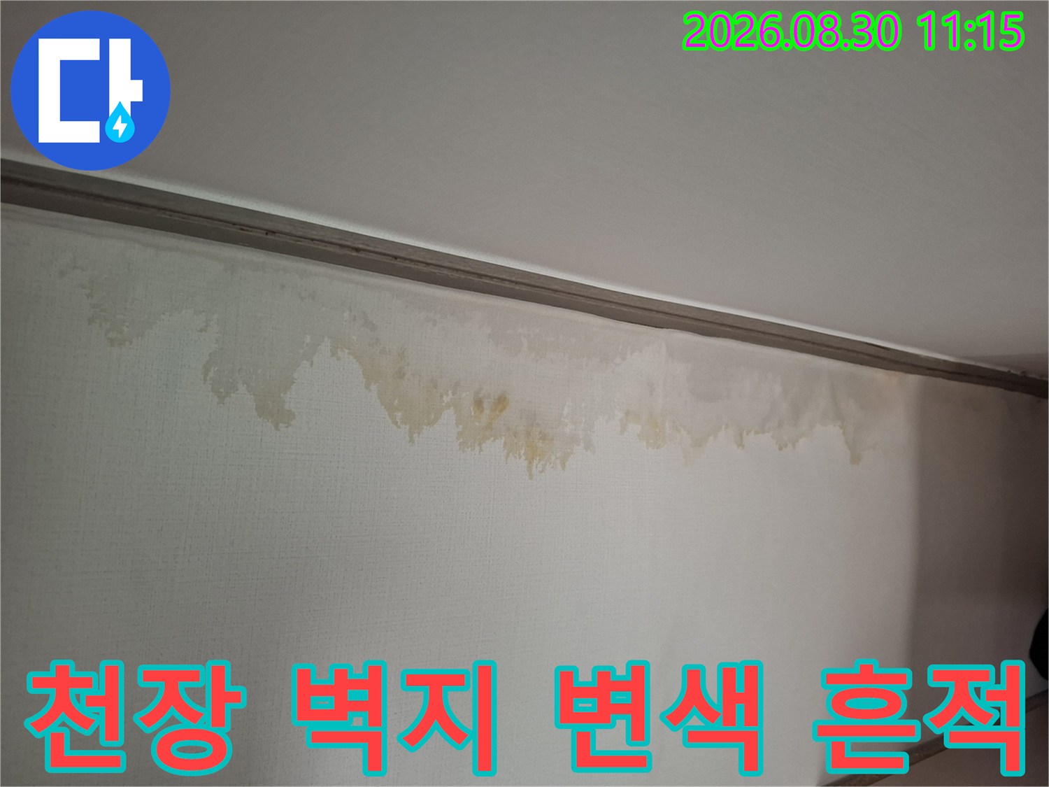 남양주 화도읍 현장의 천장 벽지 변색 및 누수 흔적 상태