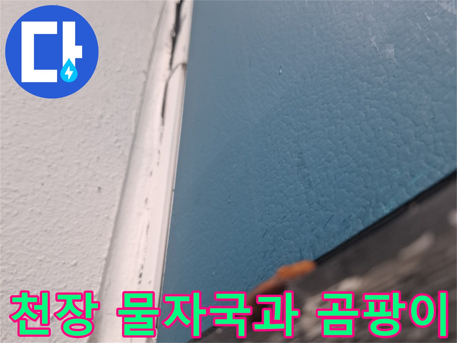 마포구 아현동 아파트-거실 천장에 발생한 곰팡이와 물 얼룩 상태