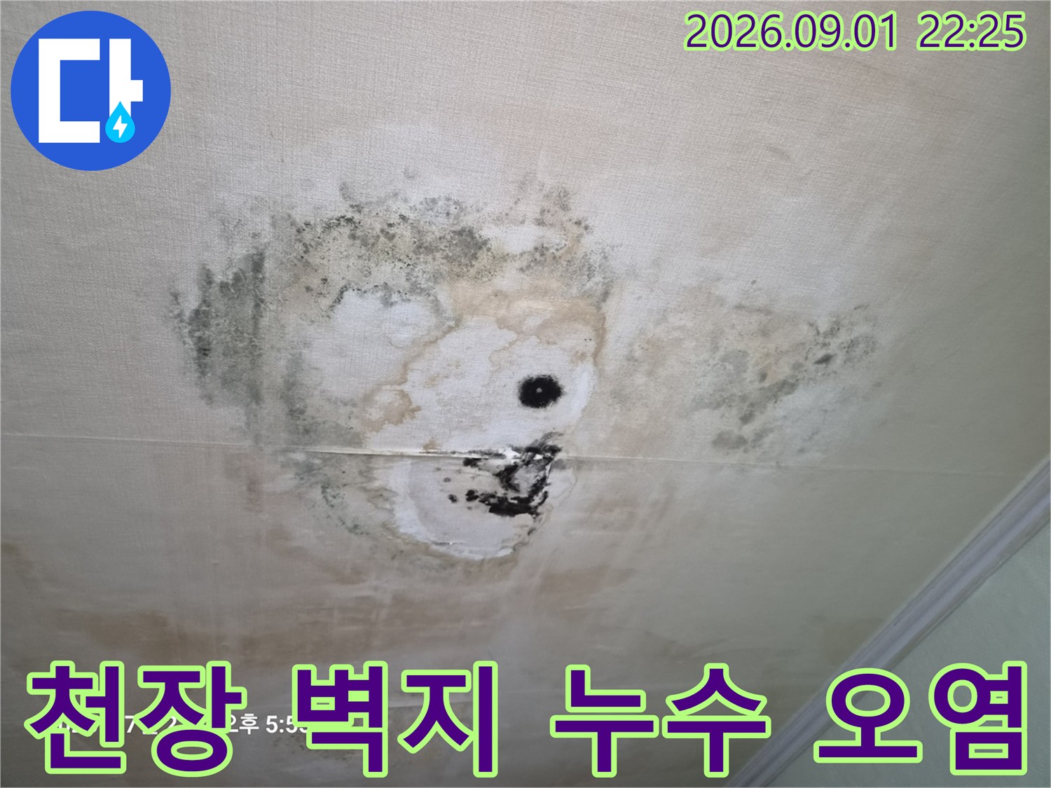천장 벽지 곰팡이 - 물샘으로 인해 변색되고 곰팡이가 생긴 천장입니다.