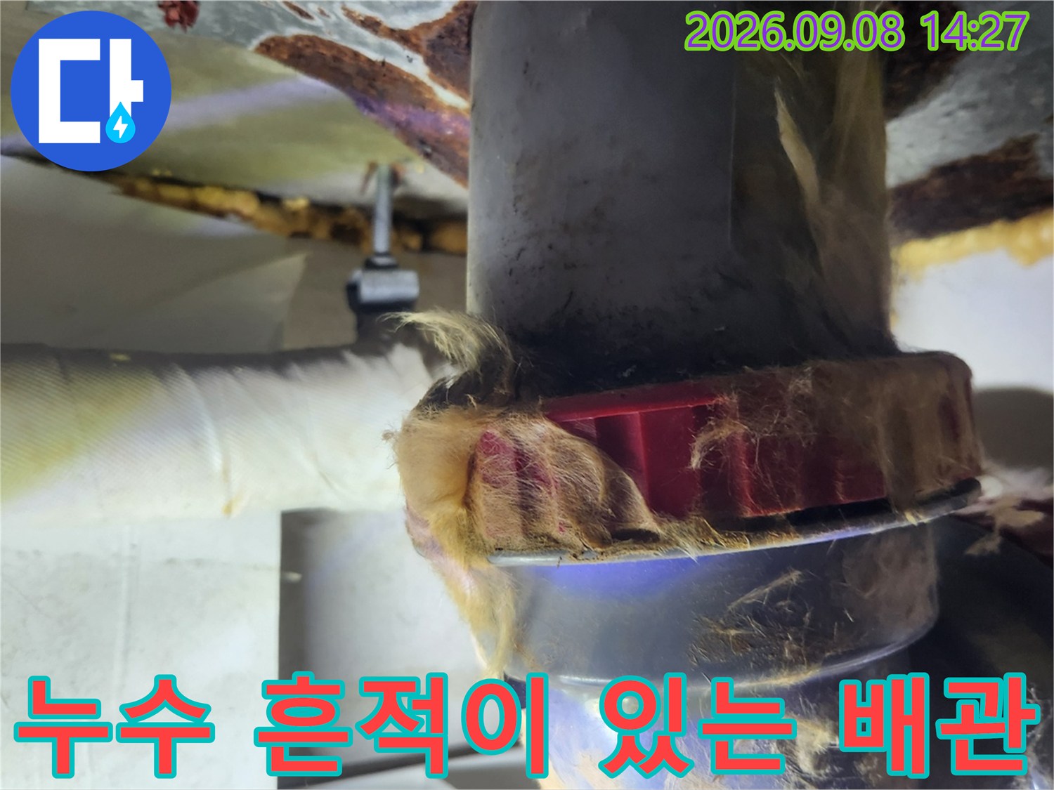 습기와 오염이-발견된-배수관-연결 부위