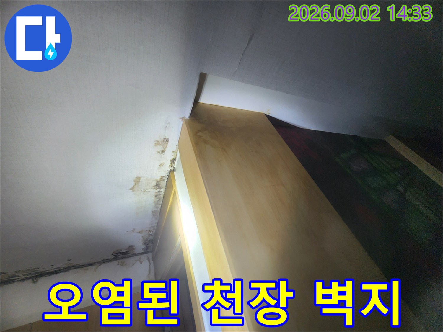 성내동 누수 현장의 곰팡이가 발생한 천장 마감재 부위