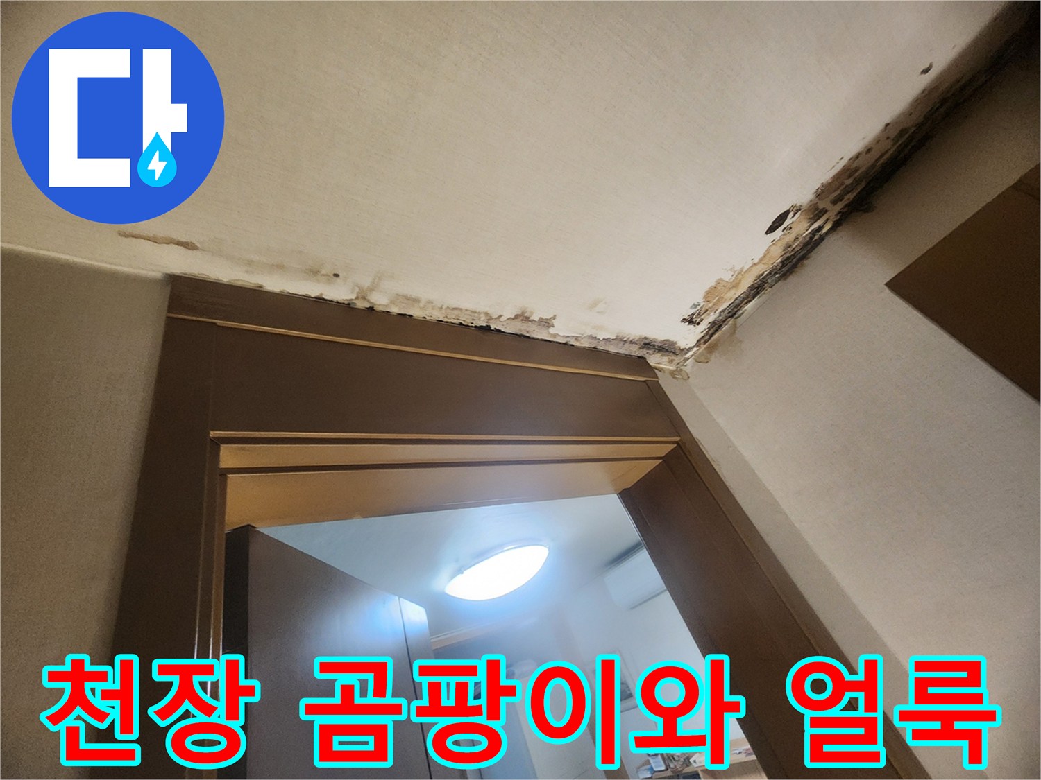 성내동 현장의 천장 벽지 곰팡이 및 물샘 흔적