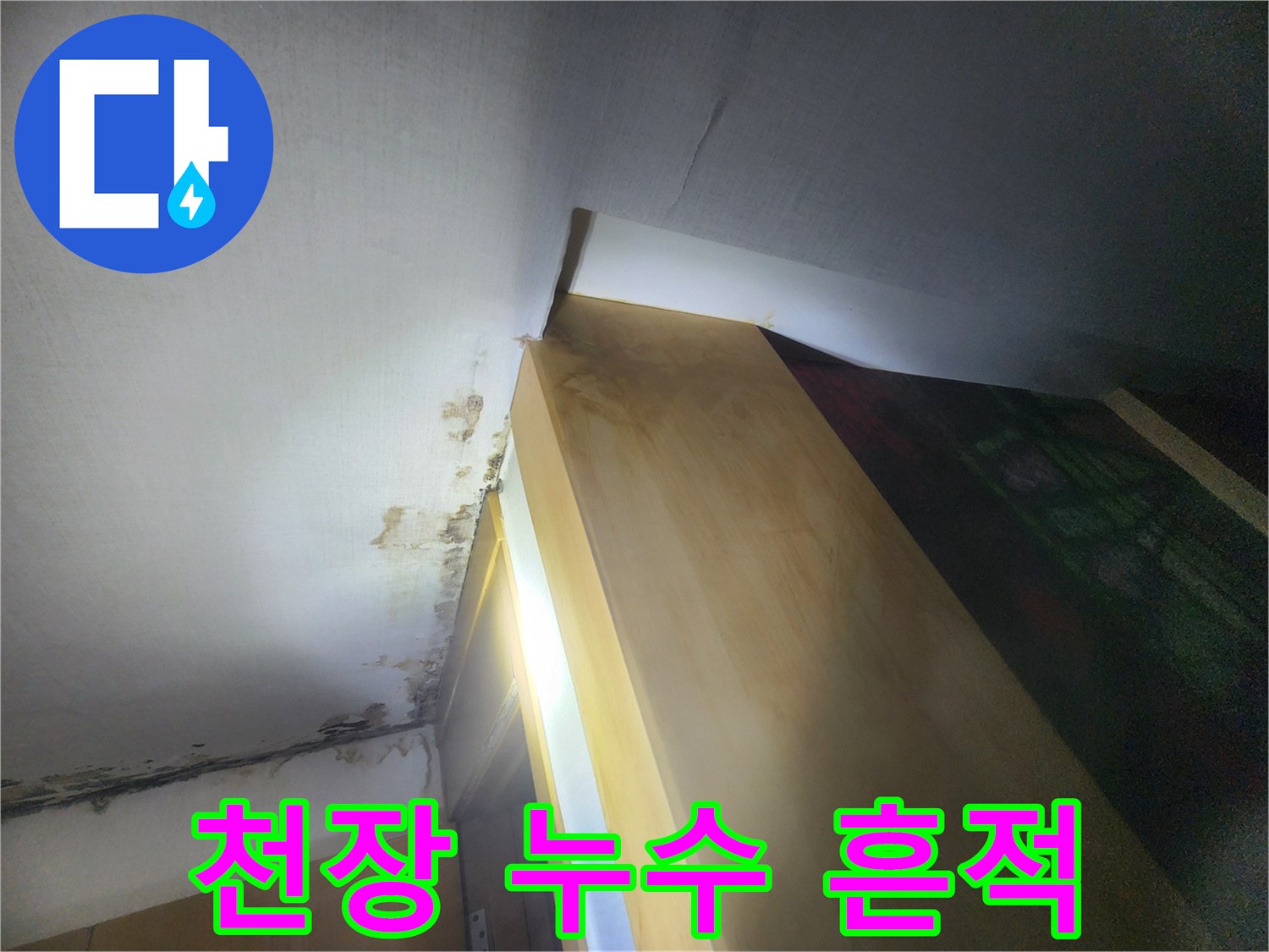 천장 구석의 곰팡이와 습기 침투 부위