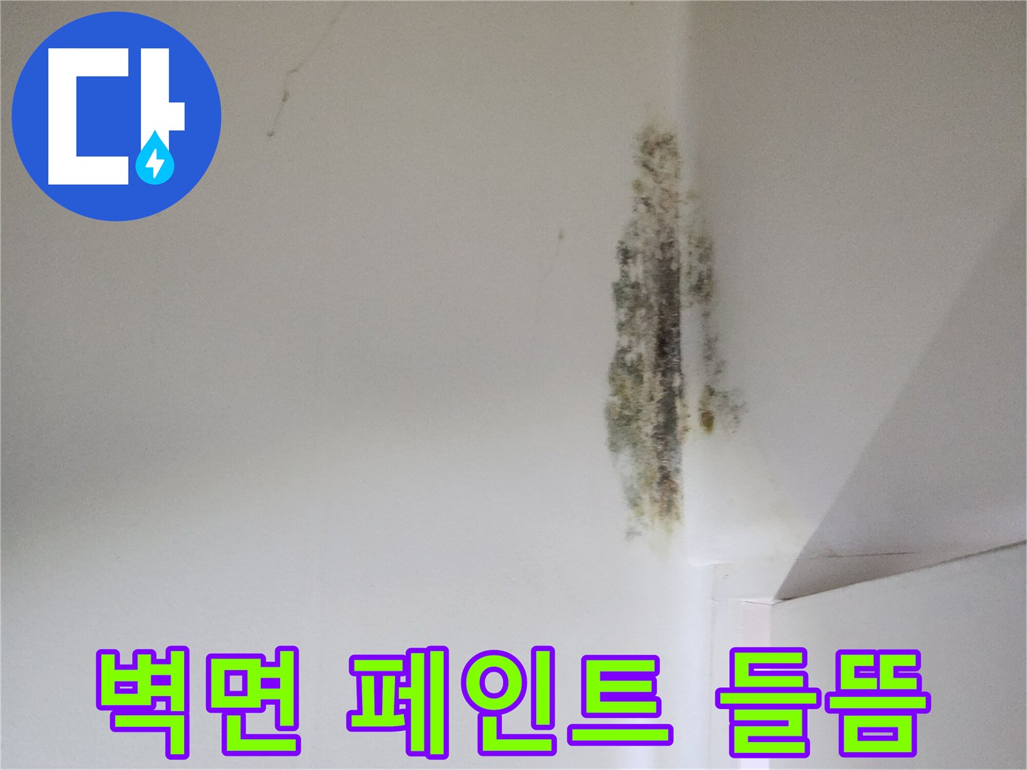 벽면 상단부-페인트 벗겨짐과 곰팡이 현상