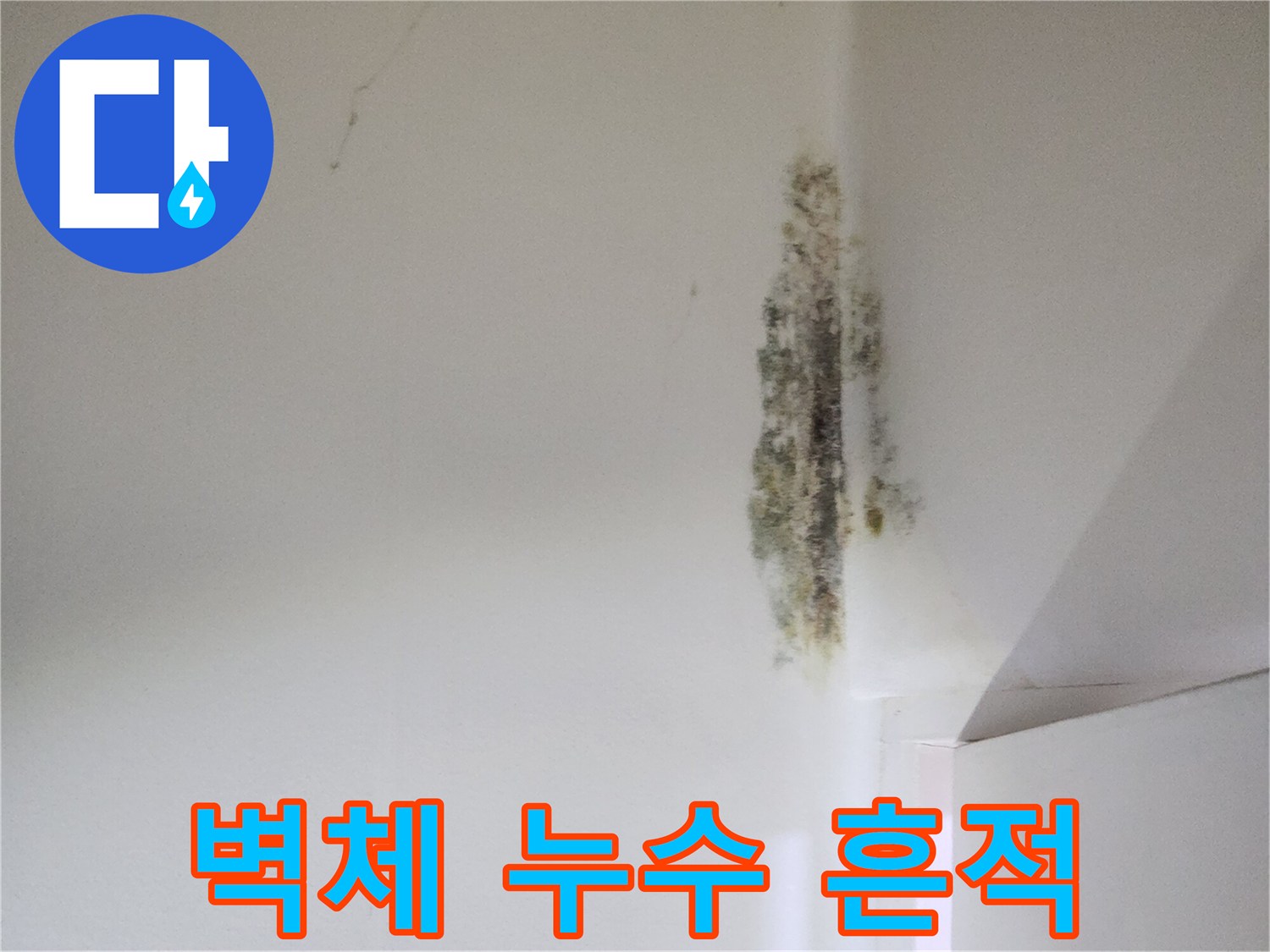 습기로-인한-벽면-곰팡이-번짐-현상