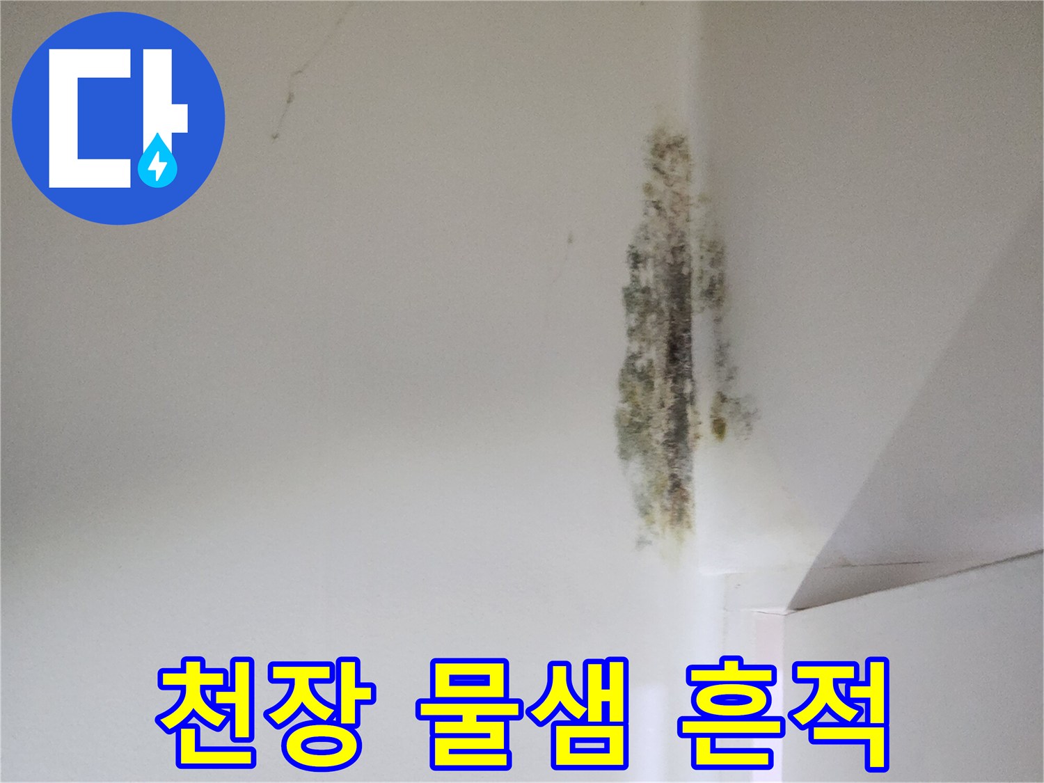습기로 인해 곰팡이가 피어오른 천장 모서리