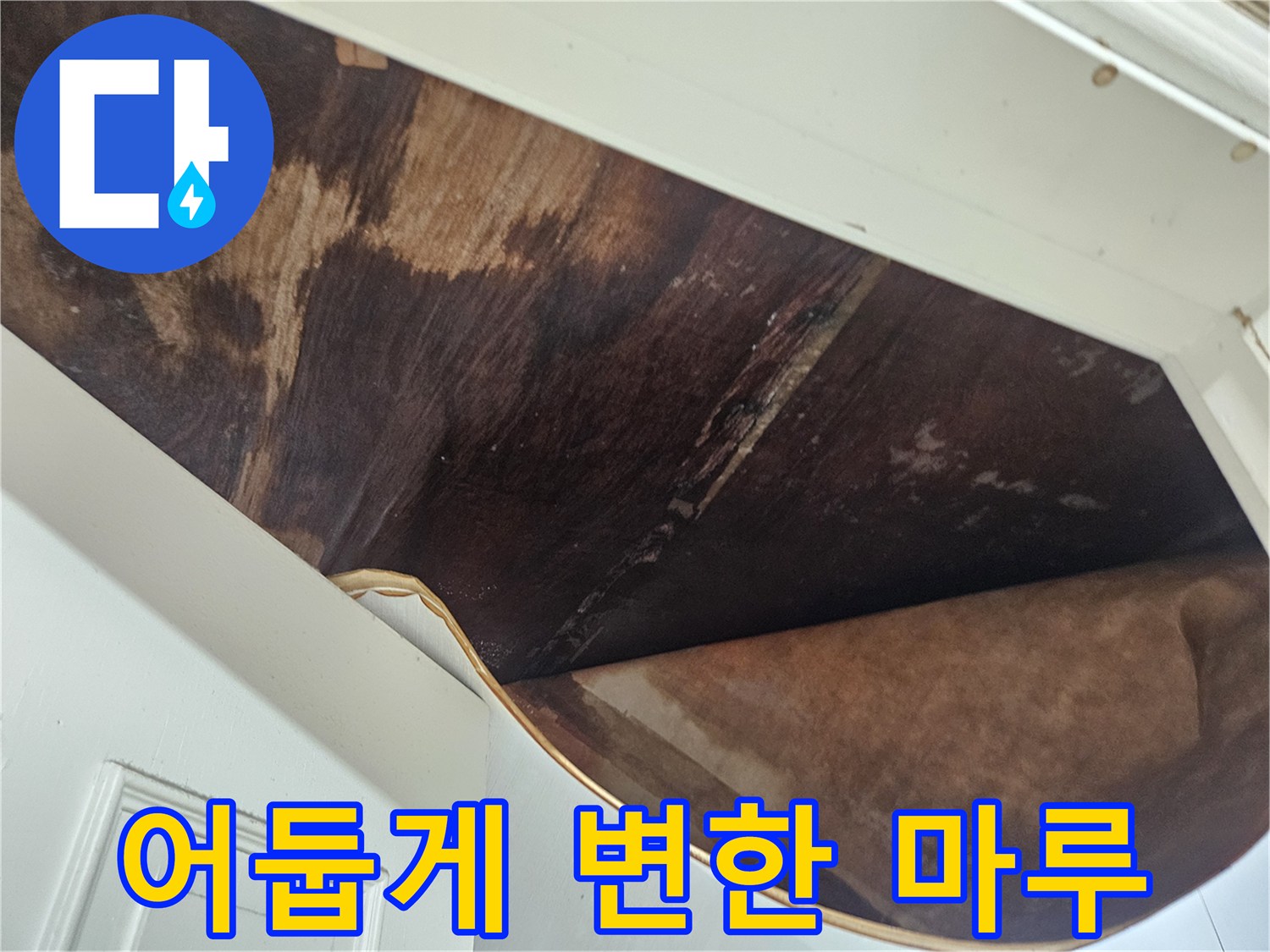 습기로-오염된-바닥재-모습