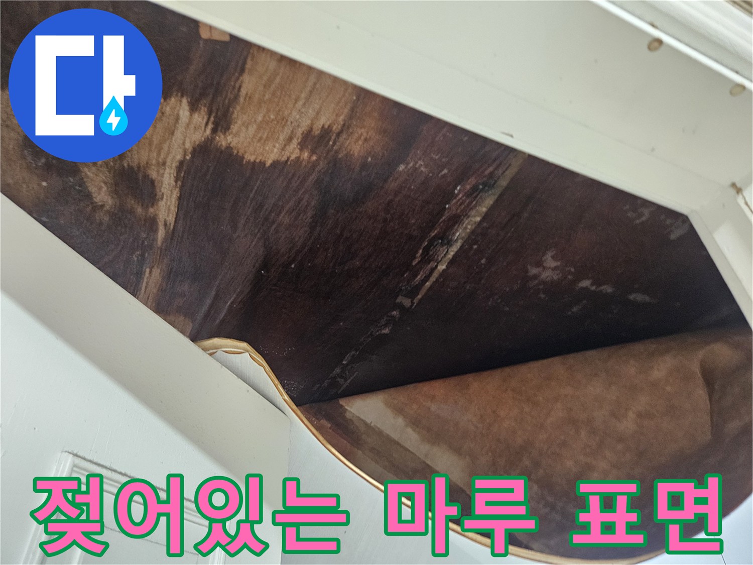 습기를-머금은-마루-표면