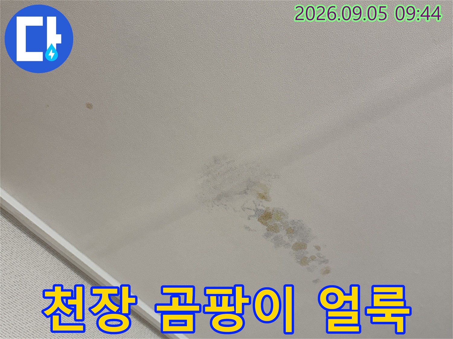 용인 동천동 아파트 천장에 발생한 곰팡이와 습기 얼룩 사진