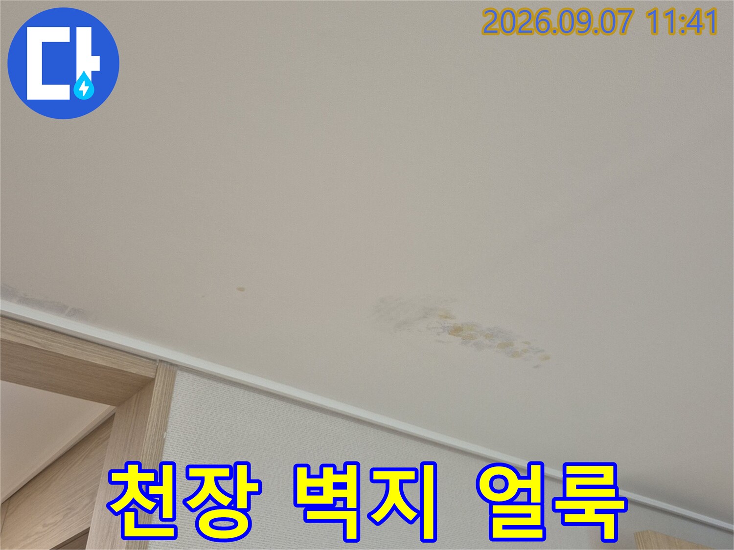 용인 수지구 동천동 현장의 천장 벽지 얼룩 상태