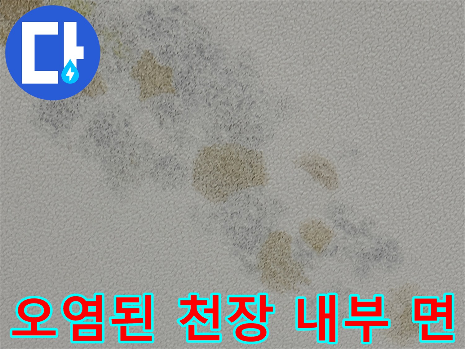 천장 내부의-심한 습기와 곰팡이 흔적