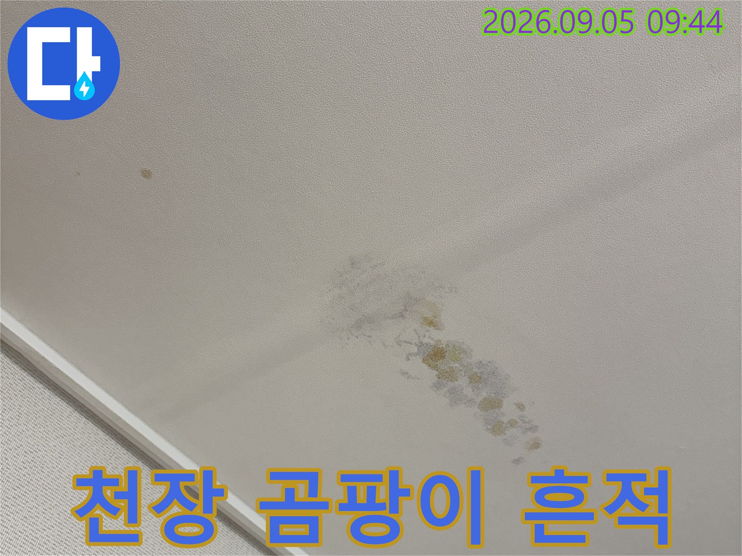 천장 벽지에 나타난 갈색 누수 오염 부위