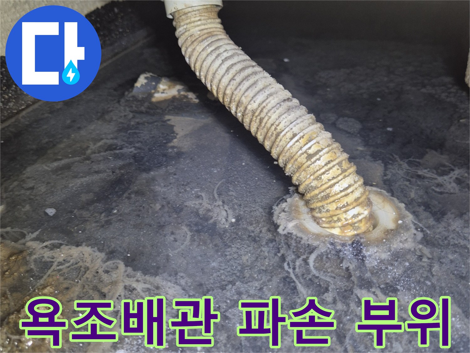 욕조 측면 FRP-배관 연결부 파손 상태
