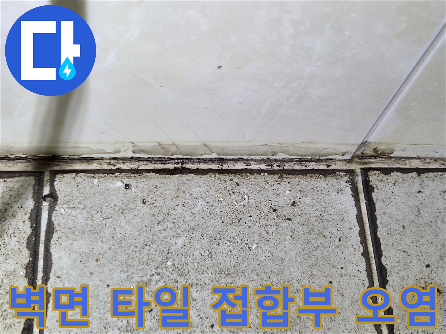 벽면-타일과-바닥-타일의-경계-틈새-오염