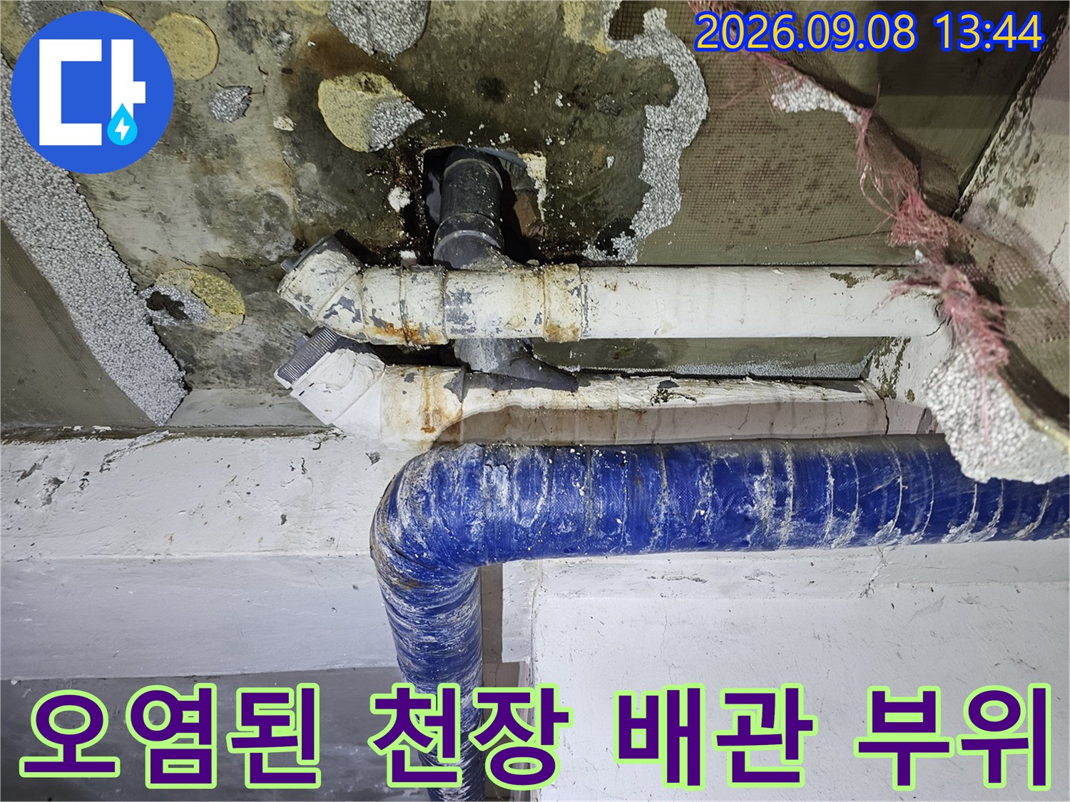 누수로 인해 곰팡이가 발생한 천장 배층 배관 연결부