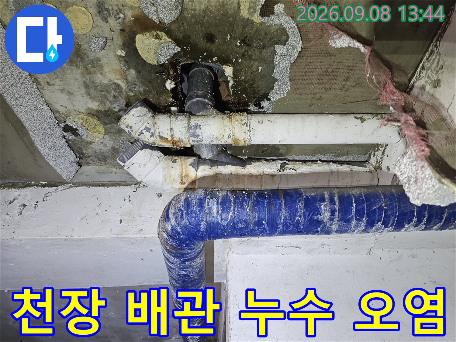 물샘 흔적과 곰팡이가 심한 천장 배관 주변