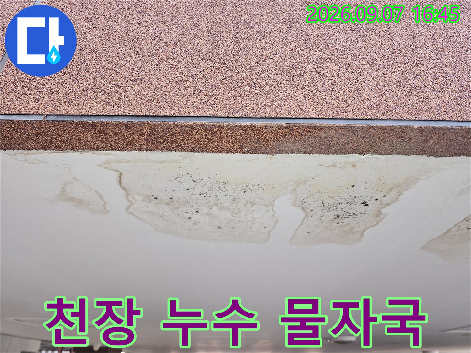 축축하게 젖어 얼룩이 생긴 필로티 주차장 천장 면