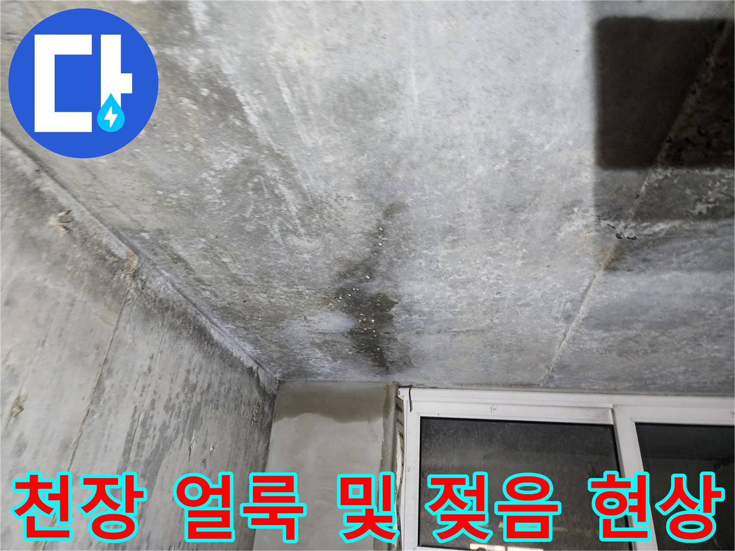 천장 콘크리트의 물샘 흔적과 수분 번짐 부위