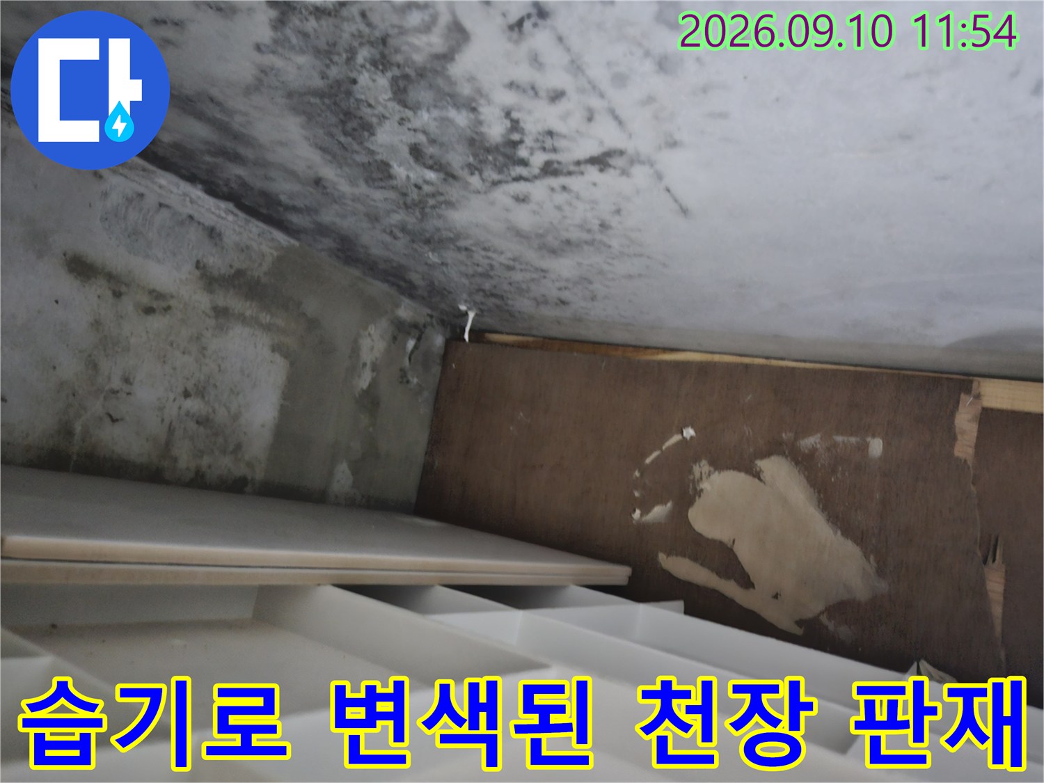 습기가 침투하여-하얗게 얼룩진 천장 내부 합판