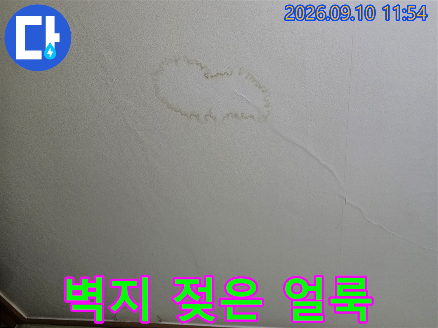 의정부 민락동 현장의 벽지 젖음 및 누수 흔적