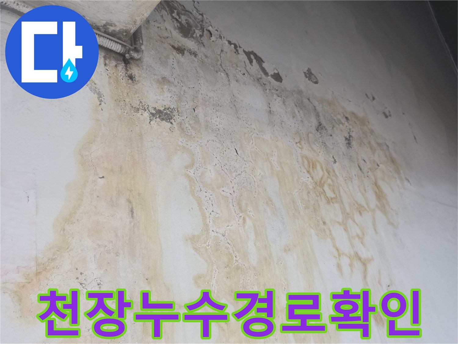 지하 계단 천장의 백화 현상과 심한 물샘 흔적