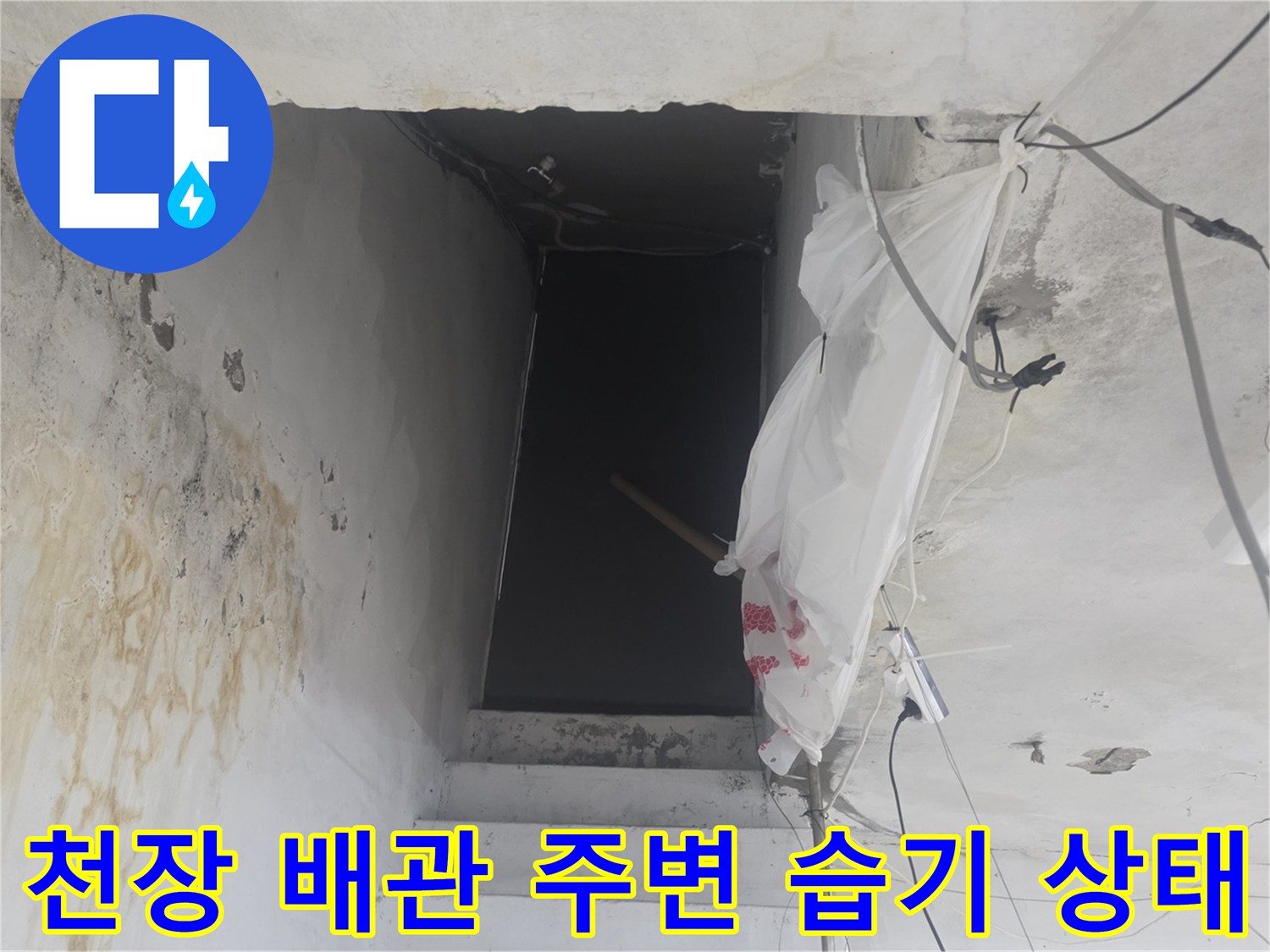 지하 계단 천장의 젖은 벽면과 노출된 전선 부근의 물샘 현상