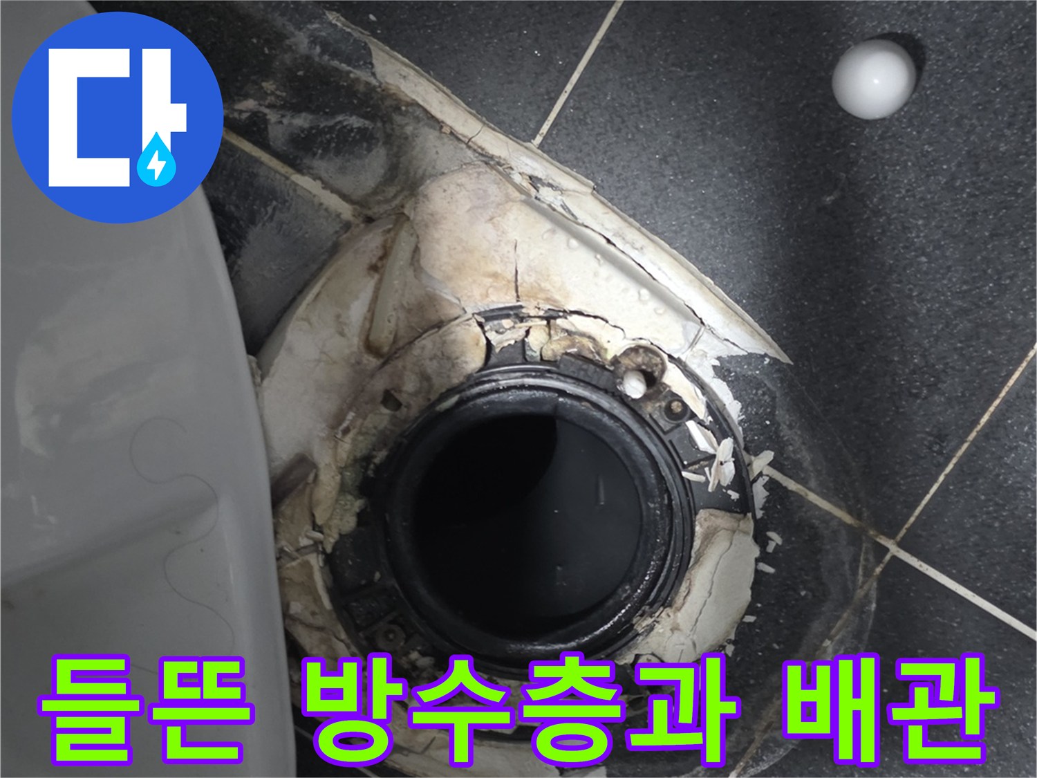 화장패-배수구-유가-탈락된-방수재-모습