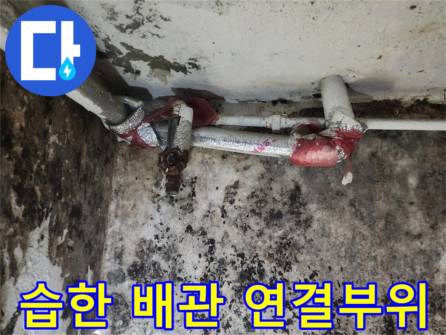 배관 주변의 곰팡이와 습기로 오염된 지하실 벽면