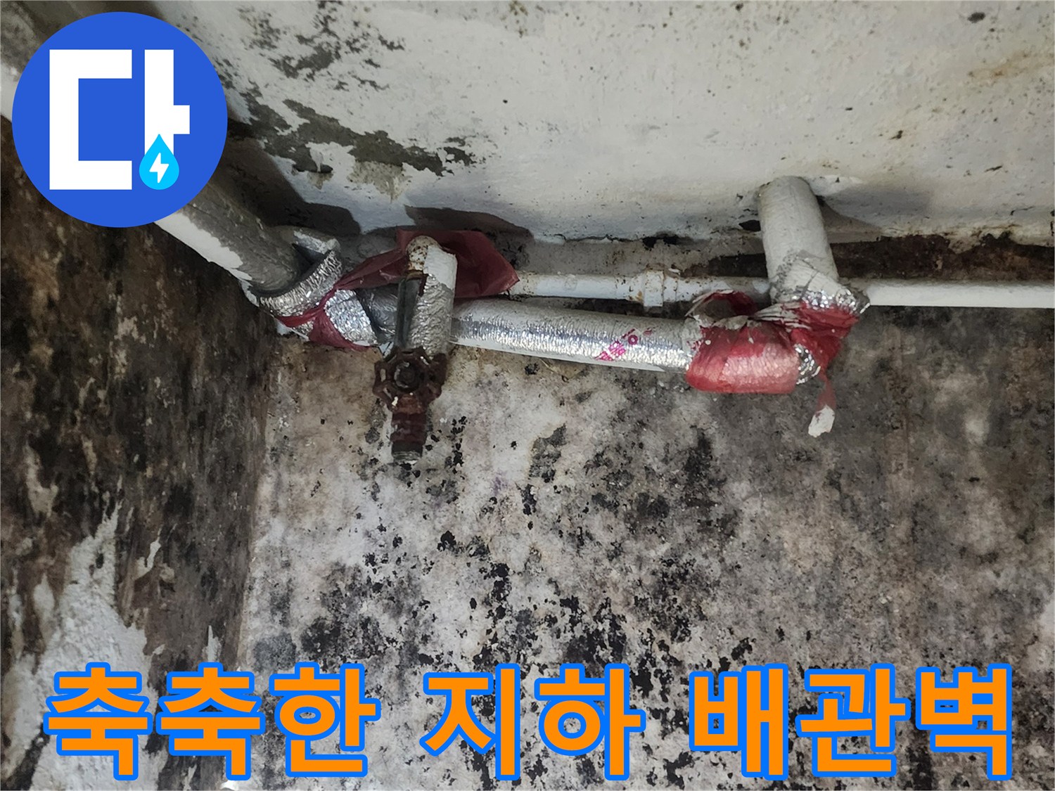 배관과 함께 보이는-심한 곰팡이와 벽면 오염